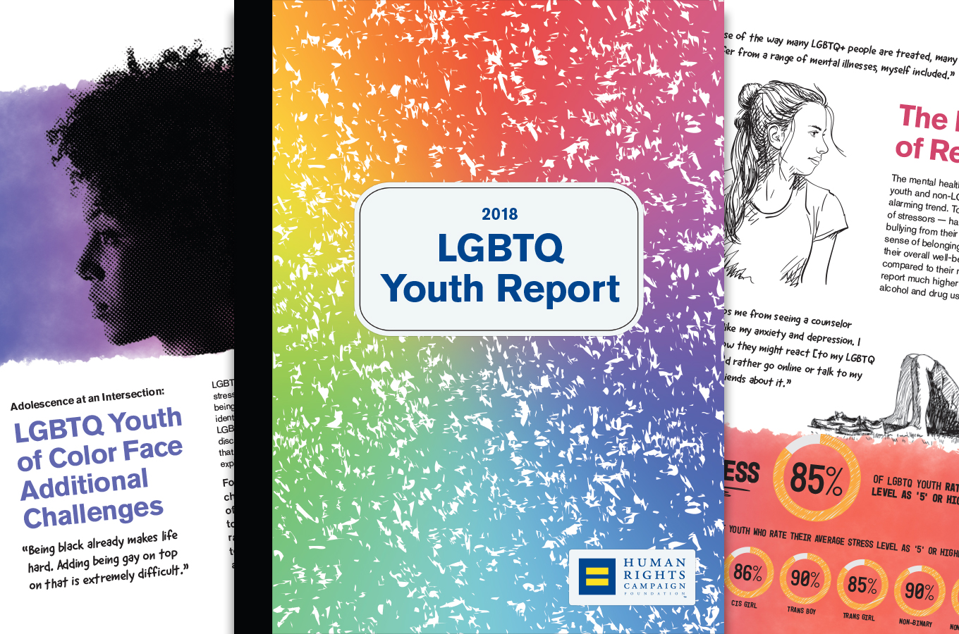 HRC LGBTQ Youth Report Collage